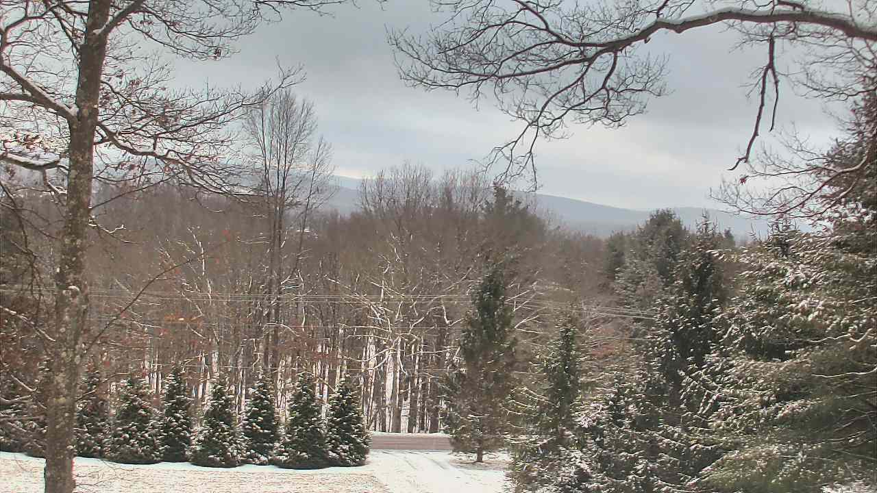 Thumbnail for current weather camera view from Sky Valley Lodge in Swanton, Maryland