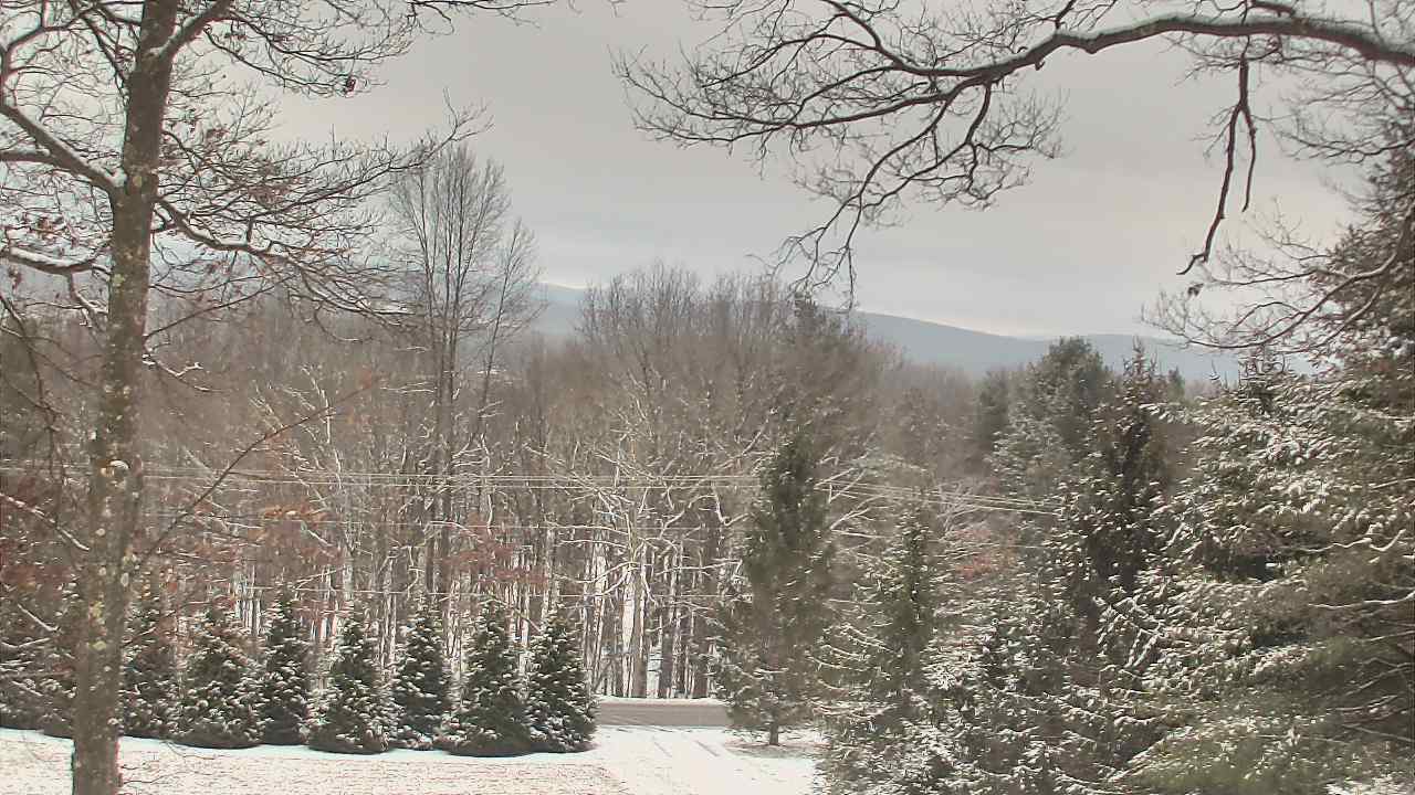 Thumbnail for current weather camera view from Sky Valley Lodge in Swanton, Maryland