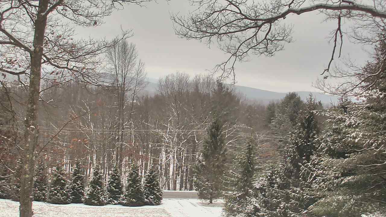 Thumbnail for current weather camera view from Sky Valley Lodge in Swanton, Maryland