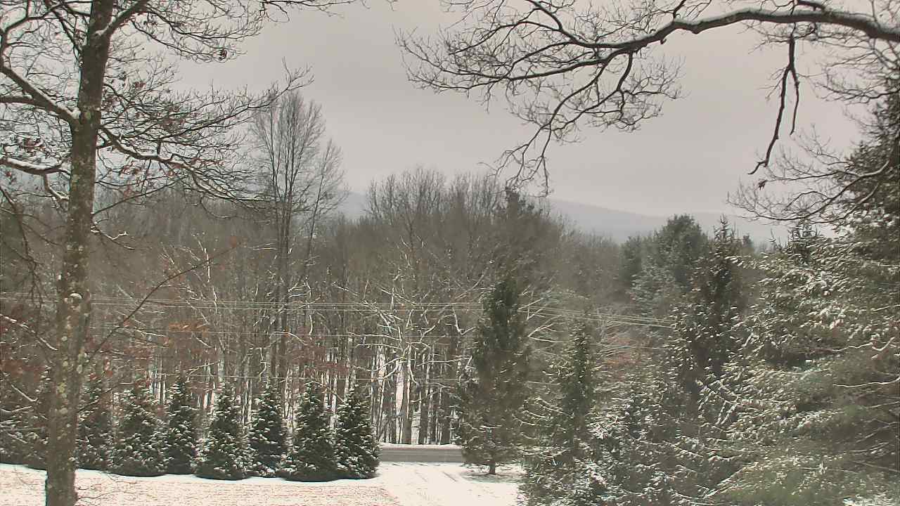 Thumbnail for current weather camera view from Sky Valley Lodge in Swanton, Maryland