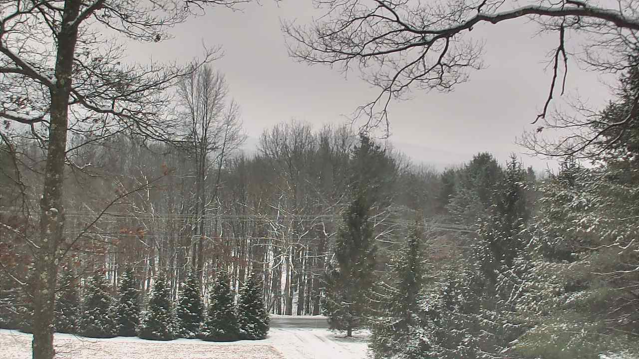 Thumbnail for current weather camera view from Sky Valley Lodge in Swanton, Maryland