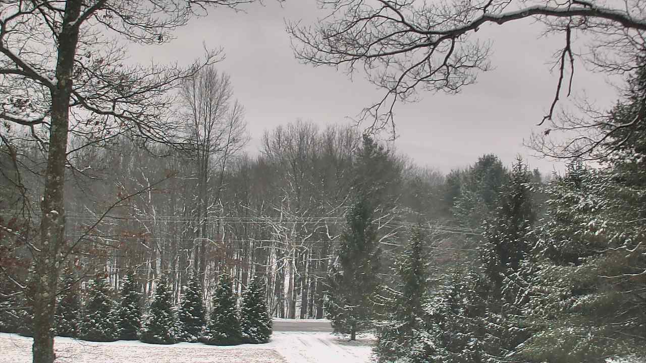 Thumbnail for current weather camera view from Sky Valley Lodge in Swanton, Maryland