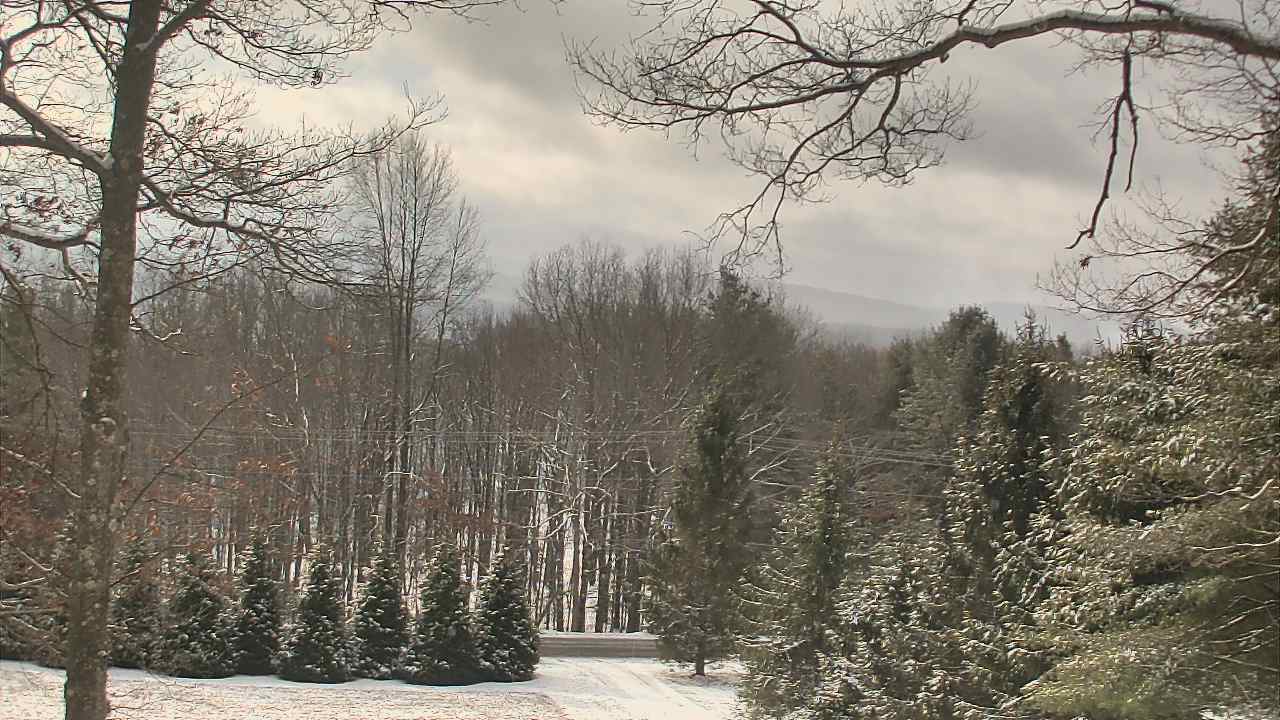 Thumbnail for current weather camera view from Sky Valley Lodge in Swanton, Maryland