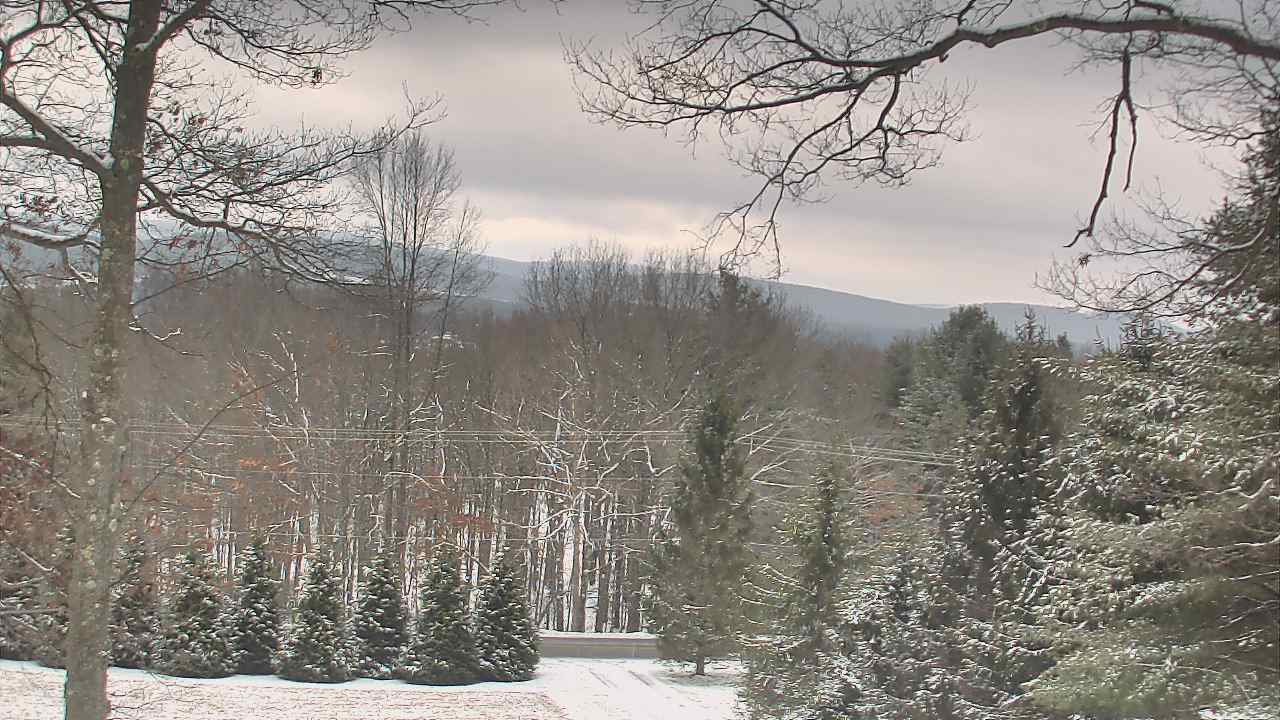 Thumbnail for current weather camera view from Sky Valley Lodge in Swanton, Maryland