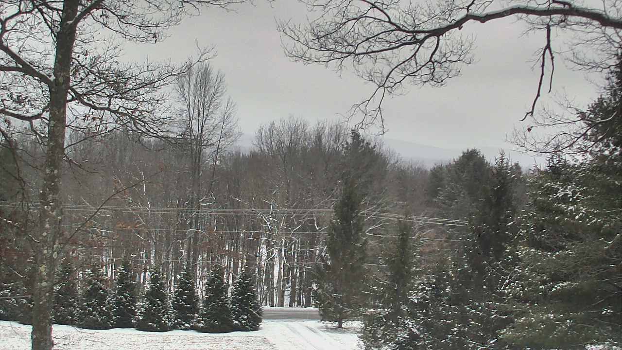 Thumbnail for current weather camera view from Sky Valley Lodge in Swanton, Maryland