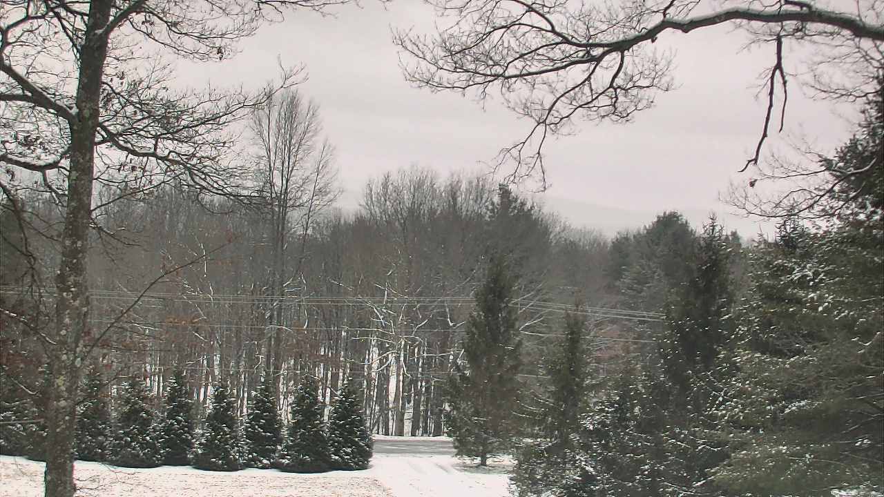 Thumbnail for current weather camera view from Sky Valley Lodge in Swanton, Maryland