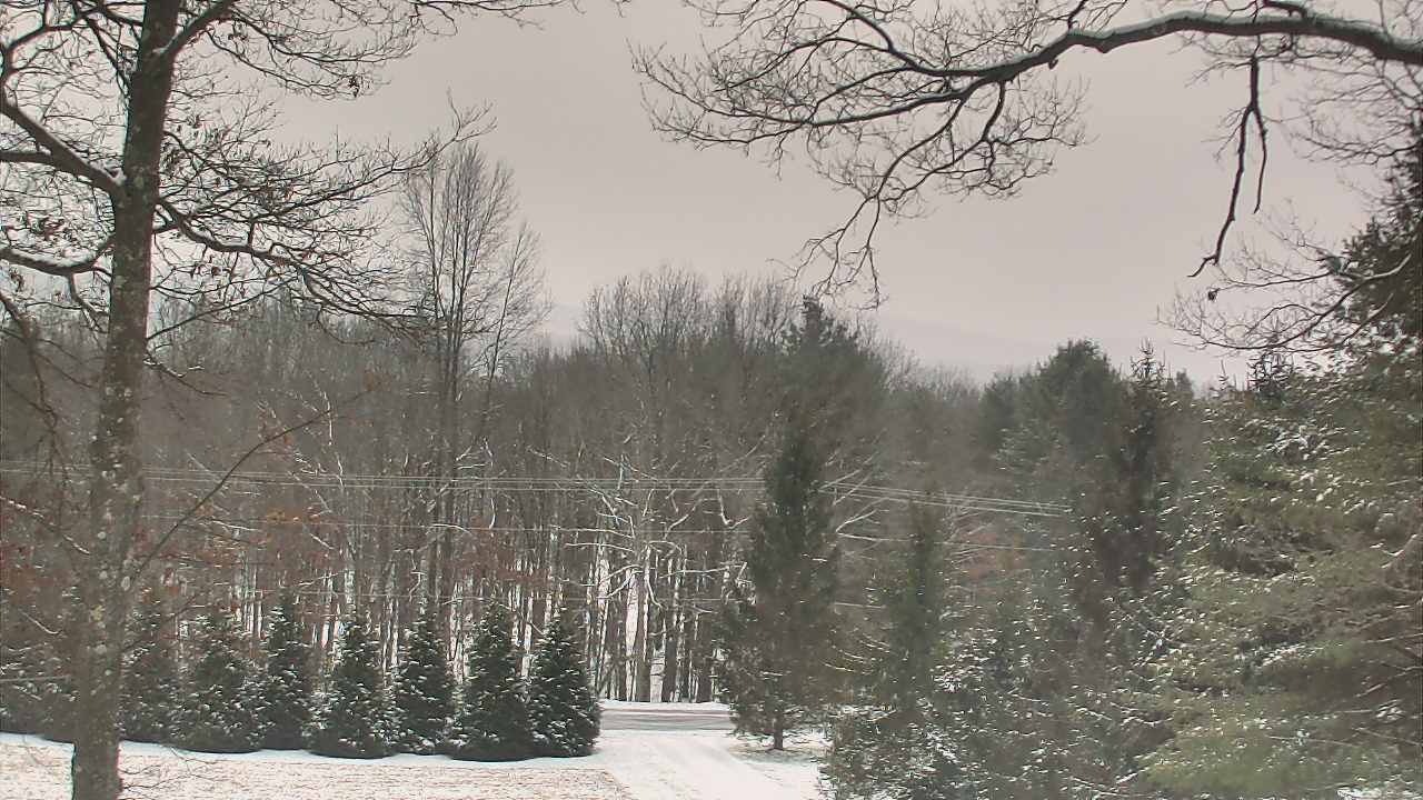 Thumbnail for current weather camera view from Sky Valley Lodge in Swanton, Maryland