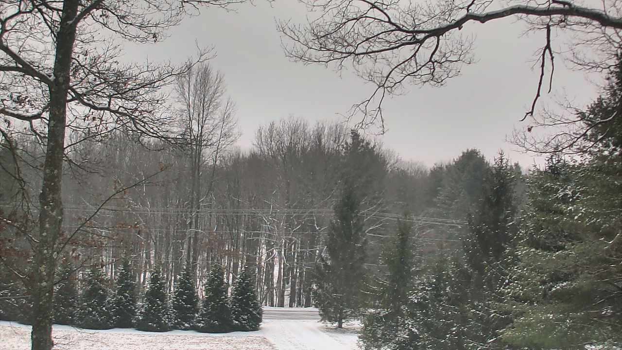 Thumbnail for current weather camera view from Sky Valley Lodge in Swanton, Maryland