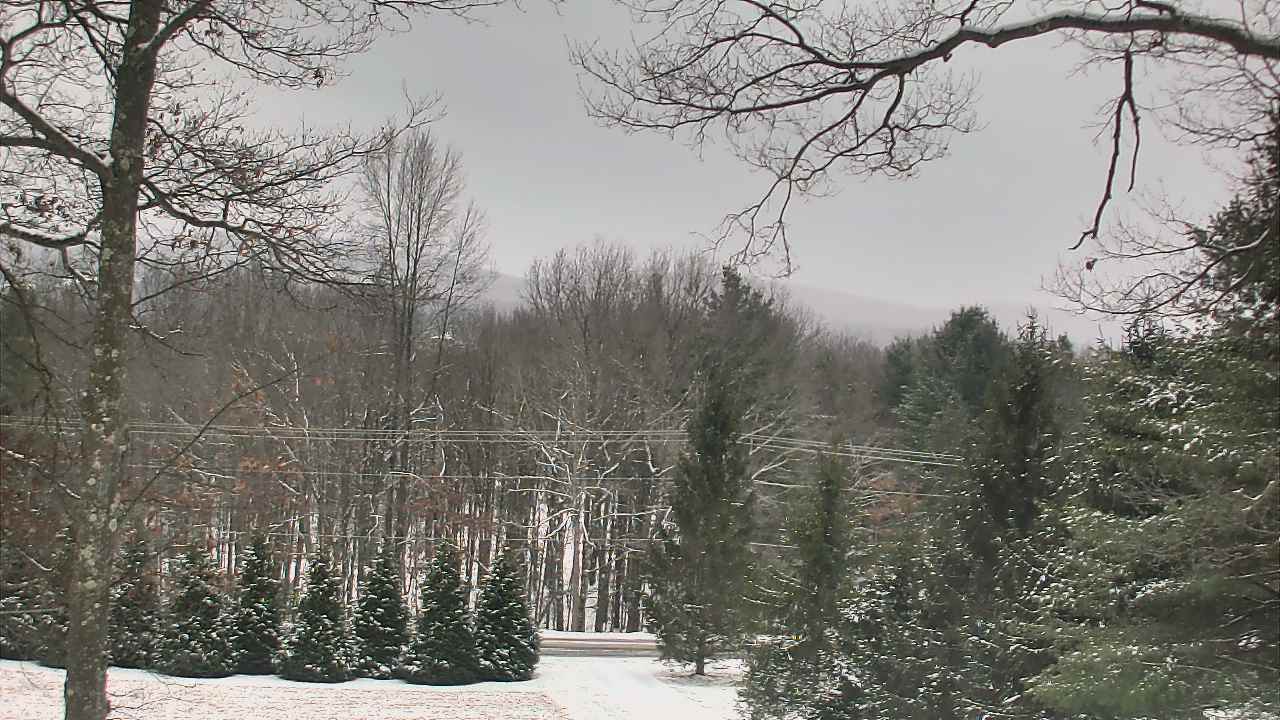 Thumbnail for current weather camera view from Sky Valley Lodge in Swanton, Maryland