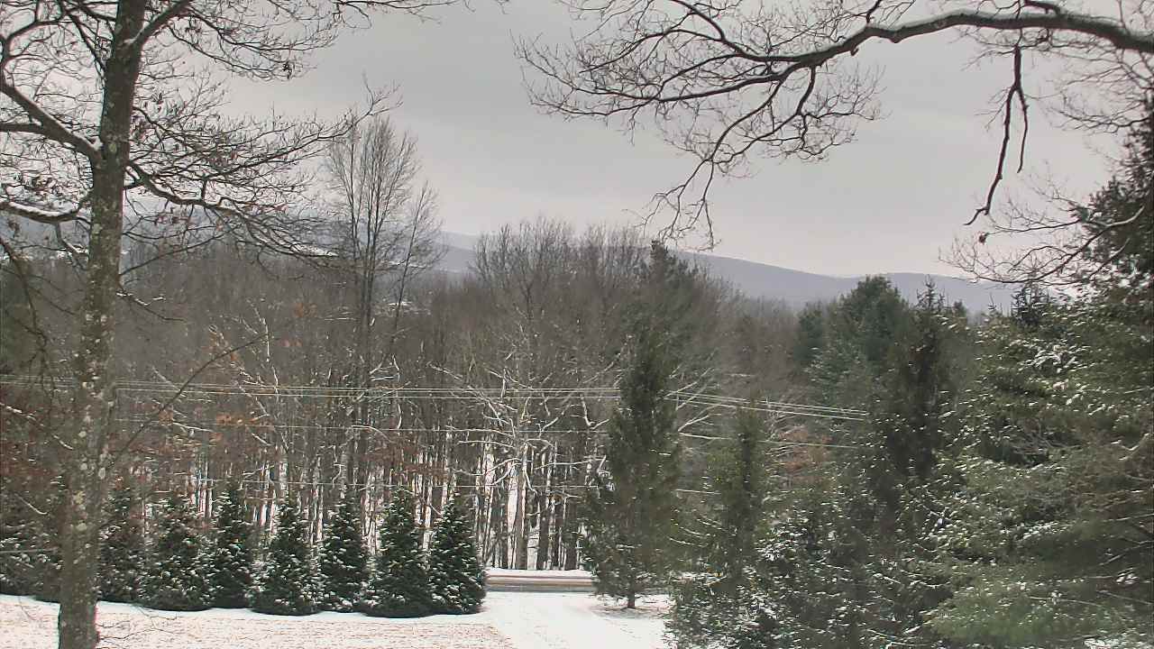 Thumbnail for current weather camera view from Sky Valley Lodge in Swanton, Maryland