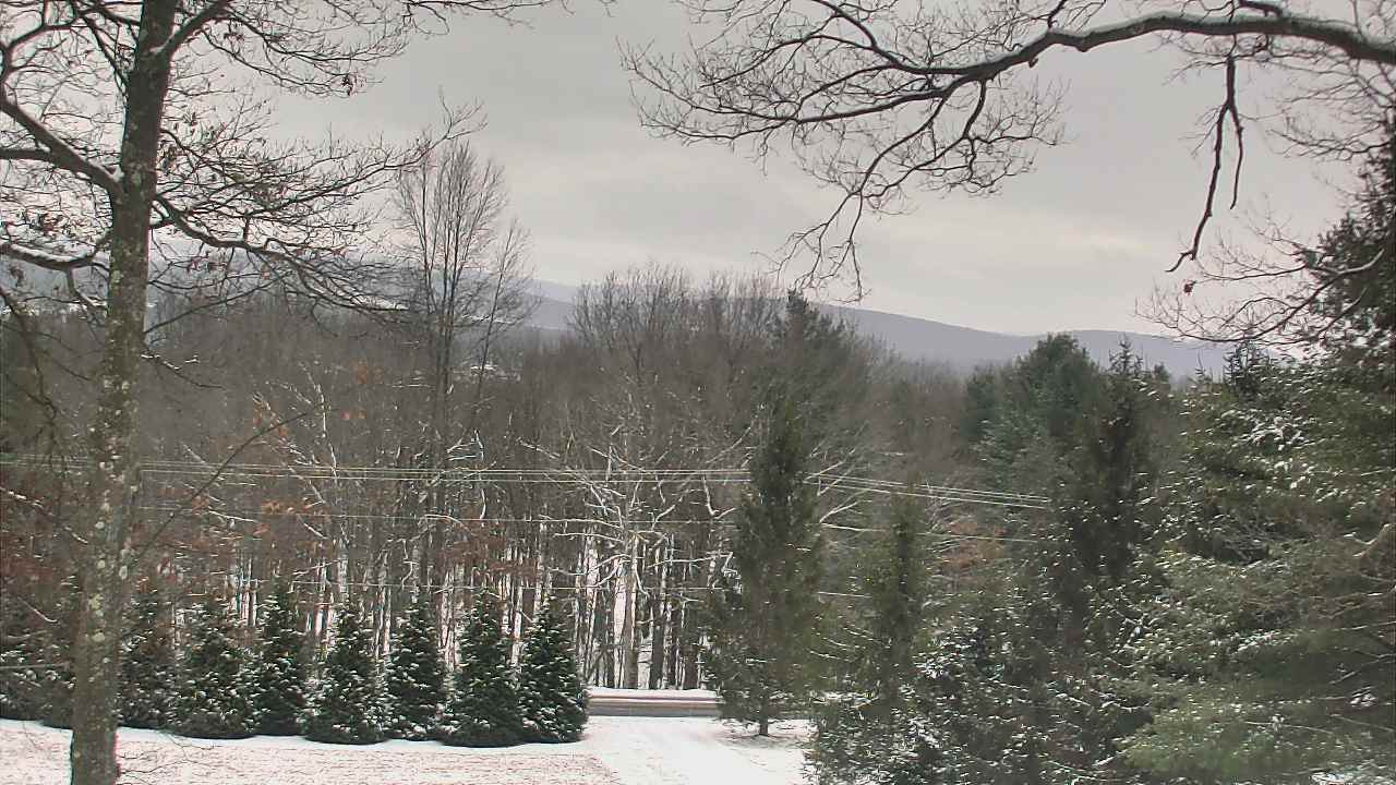Thumbnail for current weather camera view from Sky Valley Lodge in Swanton, Maryland