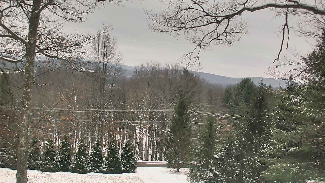 Thumbnail for current weather camera view from Sky Valley Lodge in Swanton, Maryland
