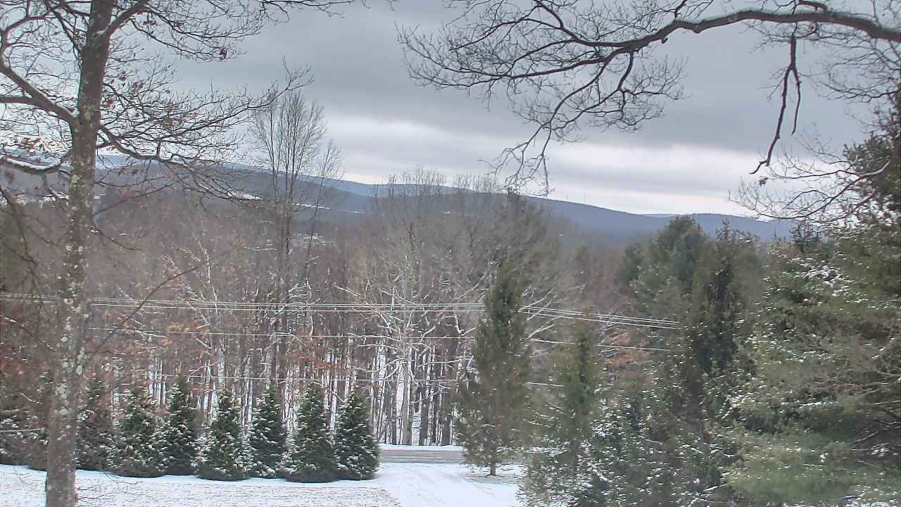 Thumbnail for current weather camera view from Sky Valley Lodge in Swanton, Maryland