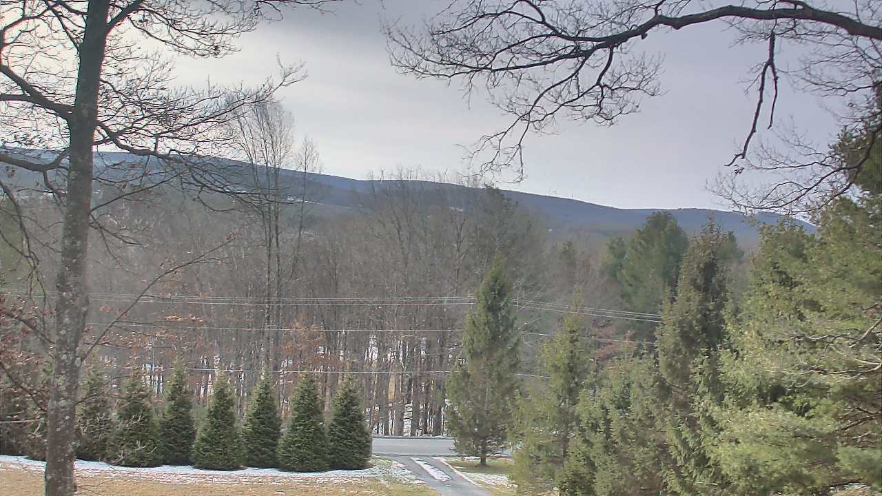 Thumbnail for current weather camera view from Sky Valley Lodge in Swanton, Maryland