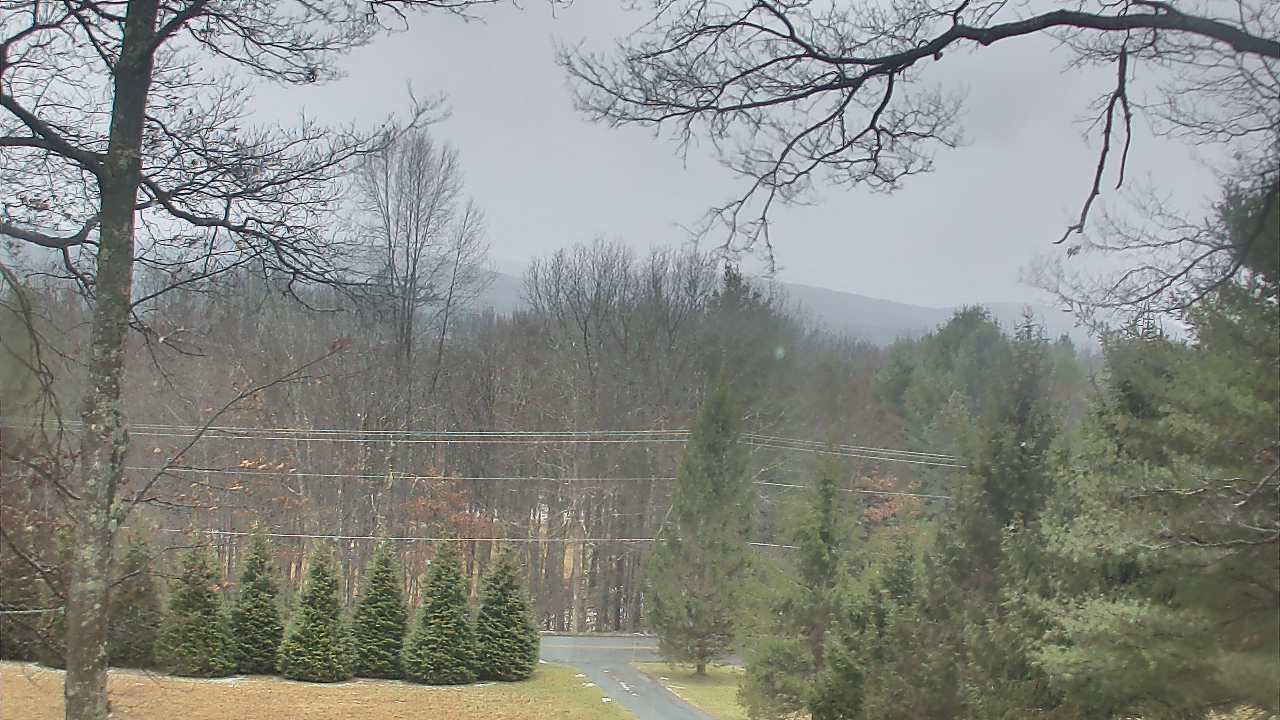 Thumbnail for current weather camera view from Sky Valley Lodge in Swanton, Maryland