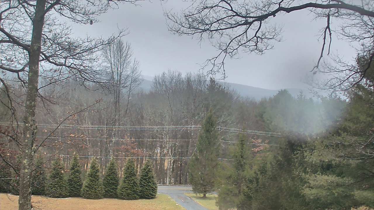 Thumbnail for current weather camera view from Sky Valley Lodge in Swanton, Maryland