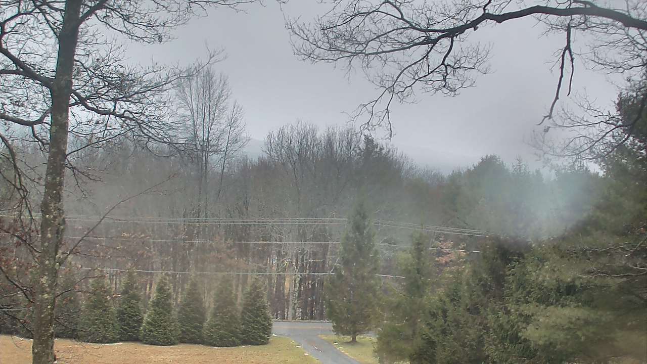 Thumbnail for current weather camera view from Sky Valley Lodge in Swanton, Maryland