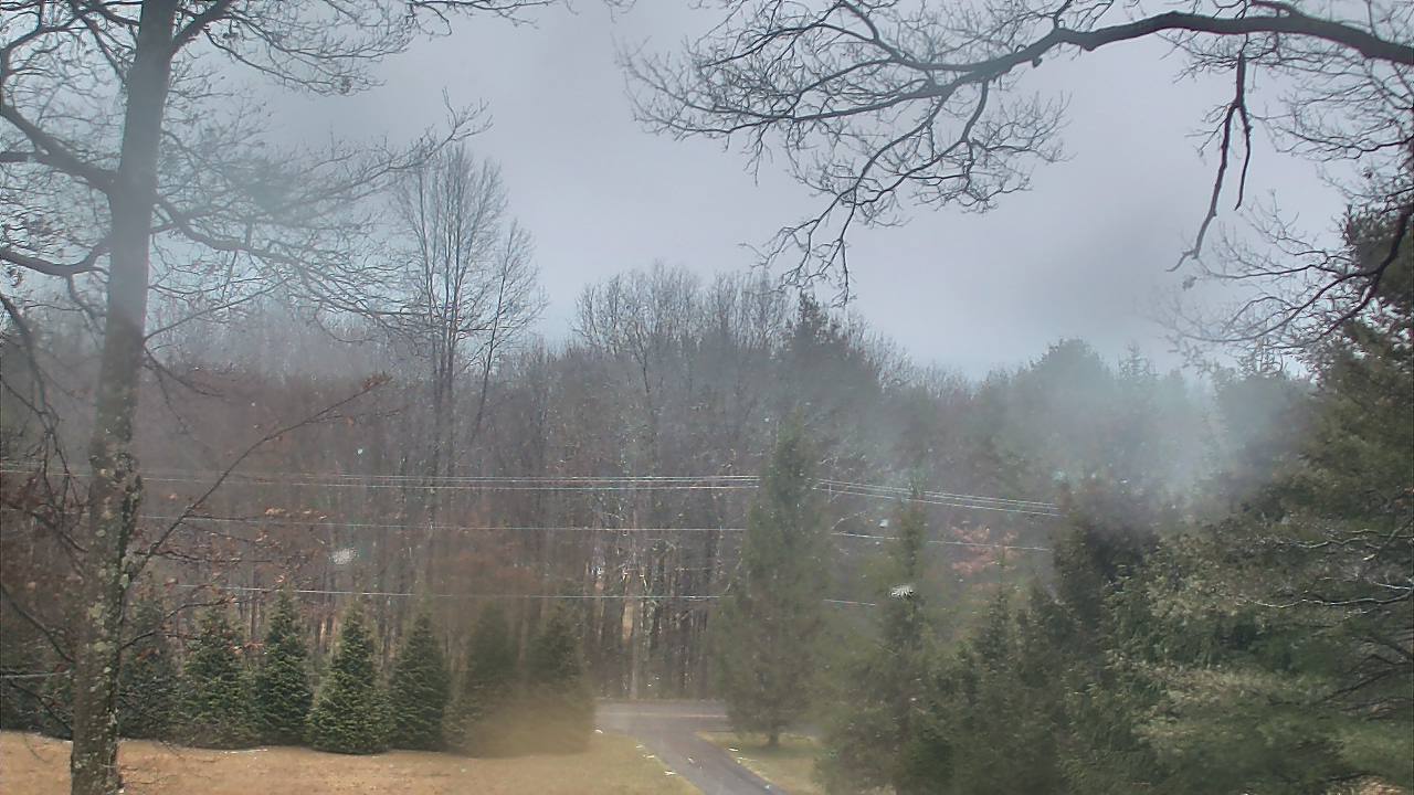 Thumbnail for current weather camera view from Sky Valley Lodge in Swanton, Maryland