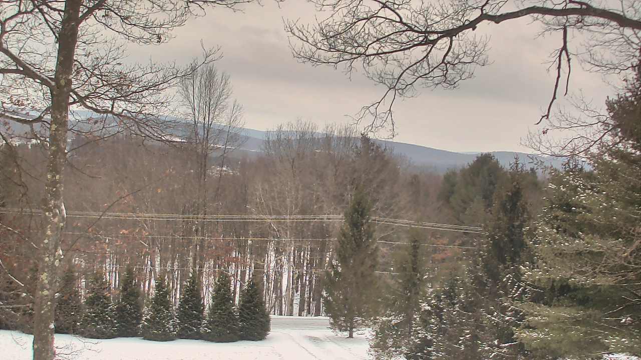 Thumbnail for current weather camera view from Sky Valley Lodge in Swanton, Maryland