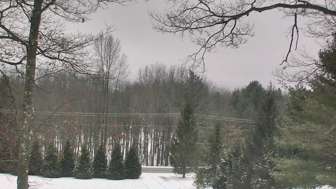 Thumbnail for current weather camera view from Sky Valley Lodge in Swanton, Maryland