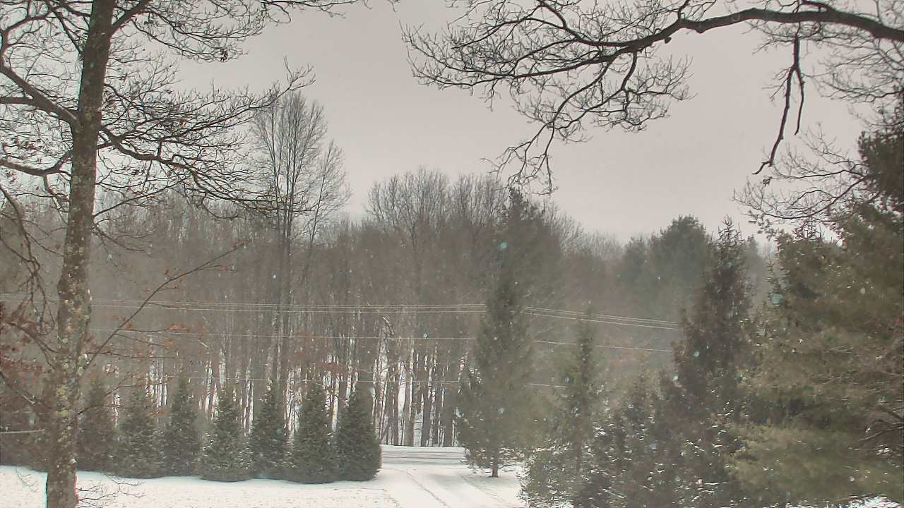 Thumbnail for current weather camera view from Sky Valley Lodge in Swanton, Maryland