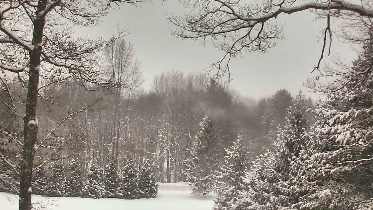 Thumbnail for current weather camera view from Sky Valley Lodge in Swanton, Maryland