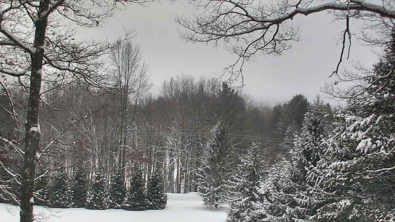 Thumbnail for current weather camera view from Sky Valley Lodge in Swanton, Maryland