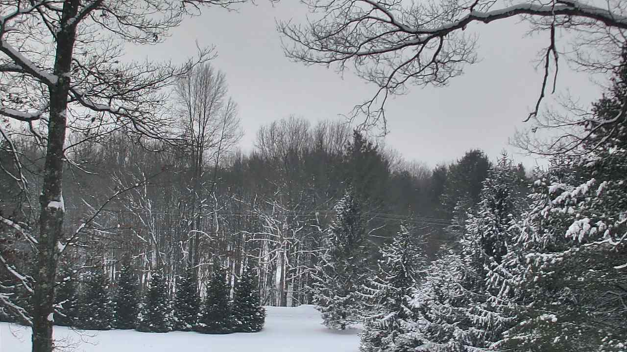 Thumbnail for current weather camera view from Sky Valley Lodge in Swanton, Maryland