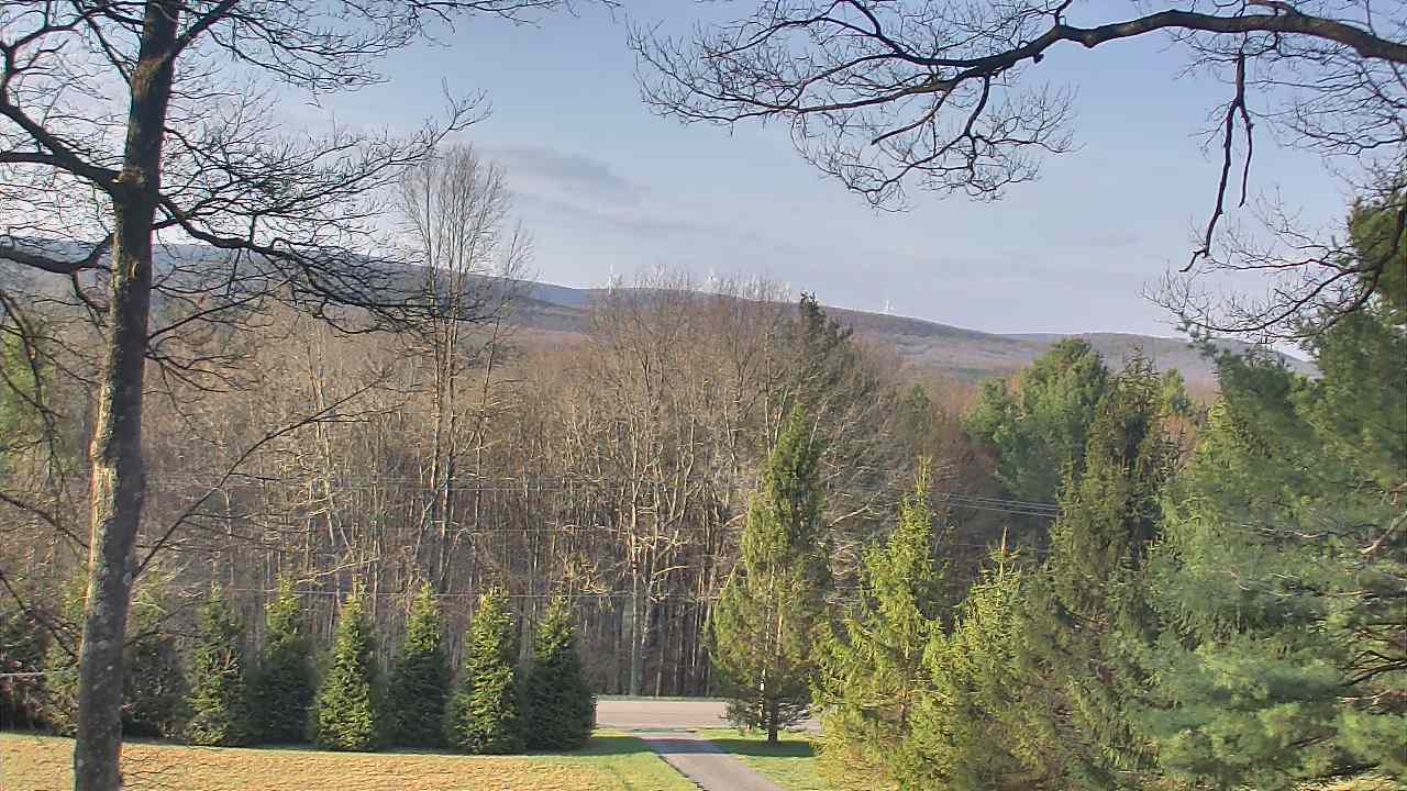 Thumbnail for current weather camera view from Sky Valley Lodge in Swanton, Maryland