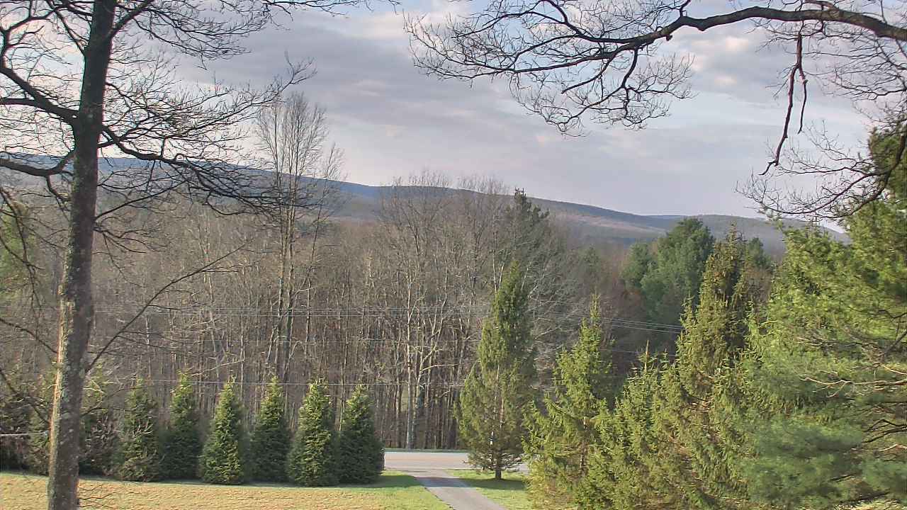 Thumbnail for current weather camera view from Sky Valley Lodge in Swanton, Maryland
