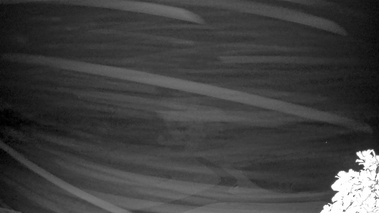 Thumbnail for current weather camera view from The Clubs at Houston Oaks in Hockley, Texas