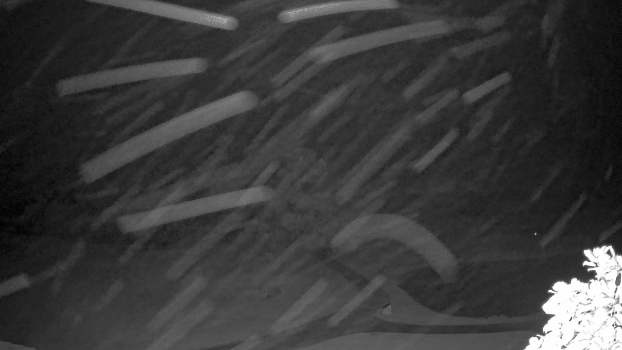 Thumbnail for current weather camera view from The Clubs at Houston Oaks in Hockley, Texas