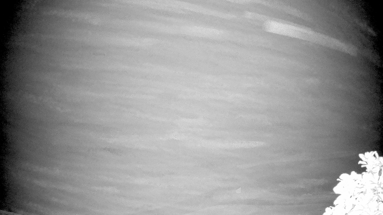 Thumbnail for current weather camera view from The Clubs at Houston Oaks in Hockley, Texas