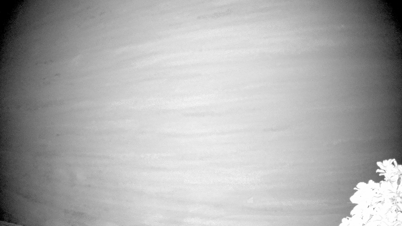 Thumbnail for current weather camera view from The Clubs at Houston Oaks in Hockley, Texas