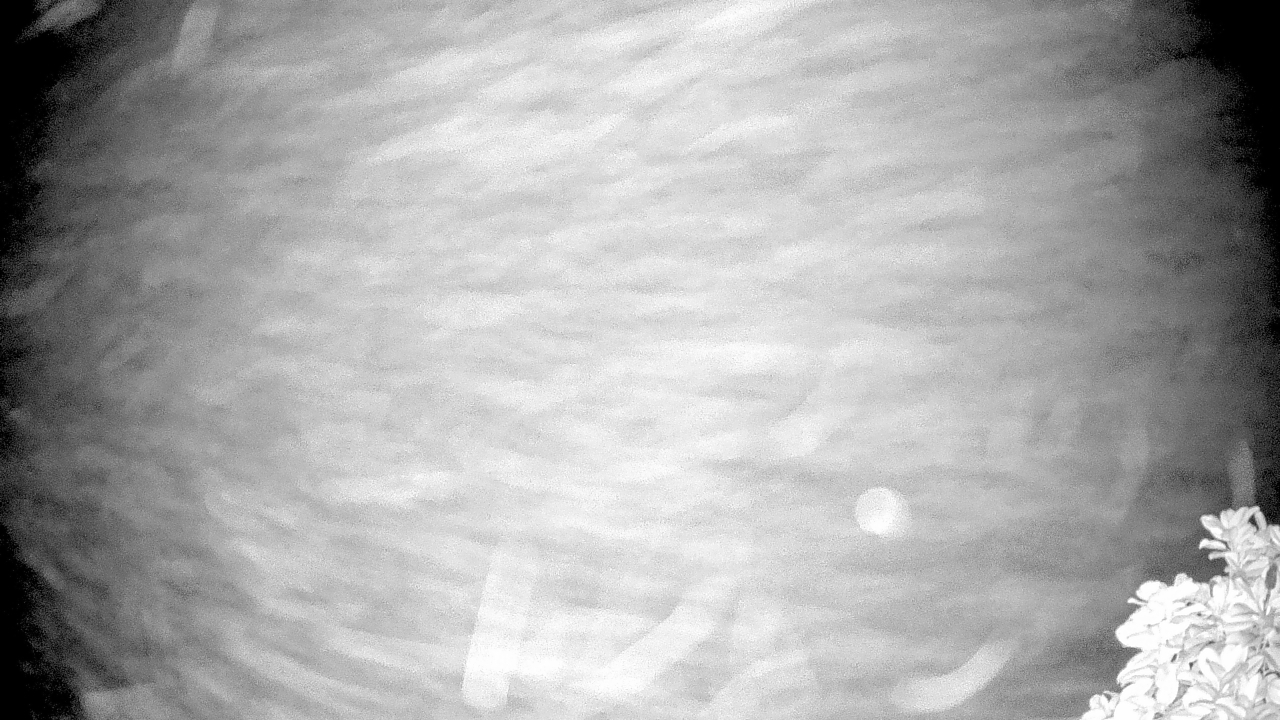 Thumbnail for current weather camera view from The Clubs at Houston Oaks in Hockley, Texas