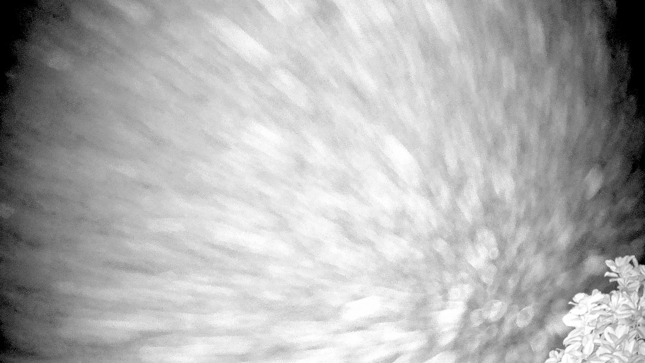 Thumbnail for current weather camera view from The Clubs at Houston Oaks in Hockley, Texas