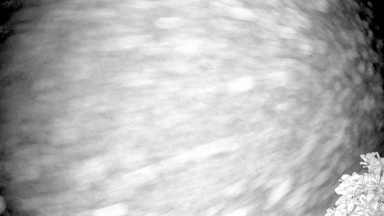 Thumbnail for current weather camera view from The Clubs at Houston Oaks in Hockley, Texas