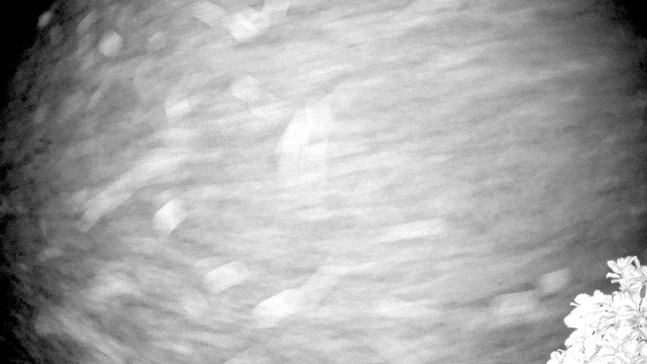 Thumbnail for current weather camera view from The Clubs at Houston Oaks in Hockley, Texas