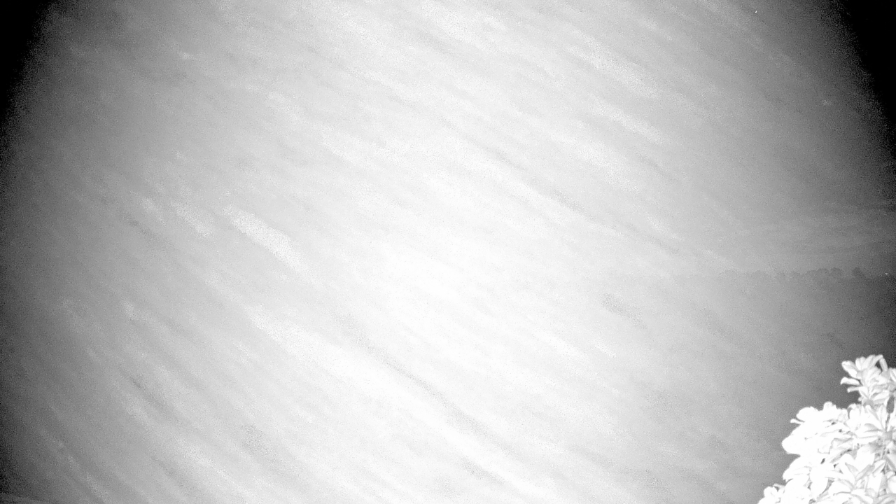 Thumbnail for current weather camera view from The Clubs at Houston Oaks in Hockley, Texas