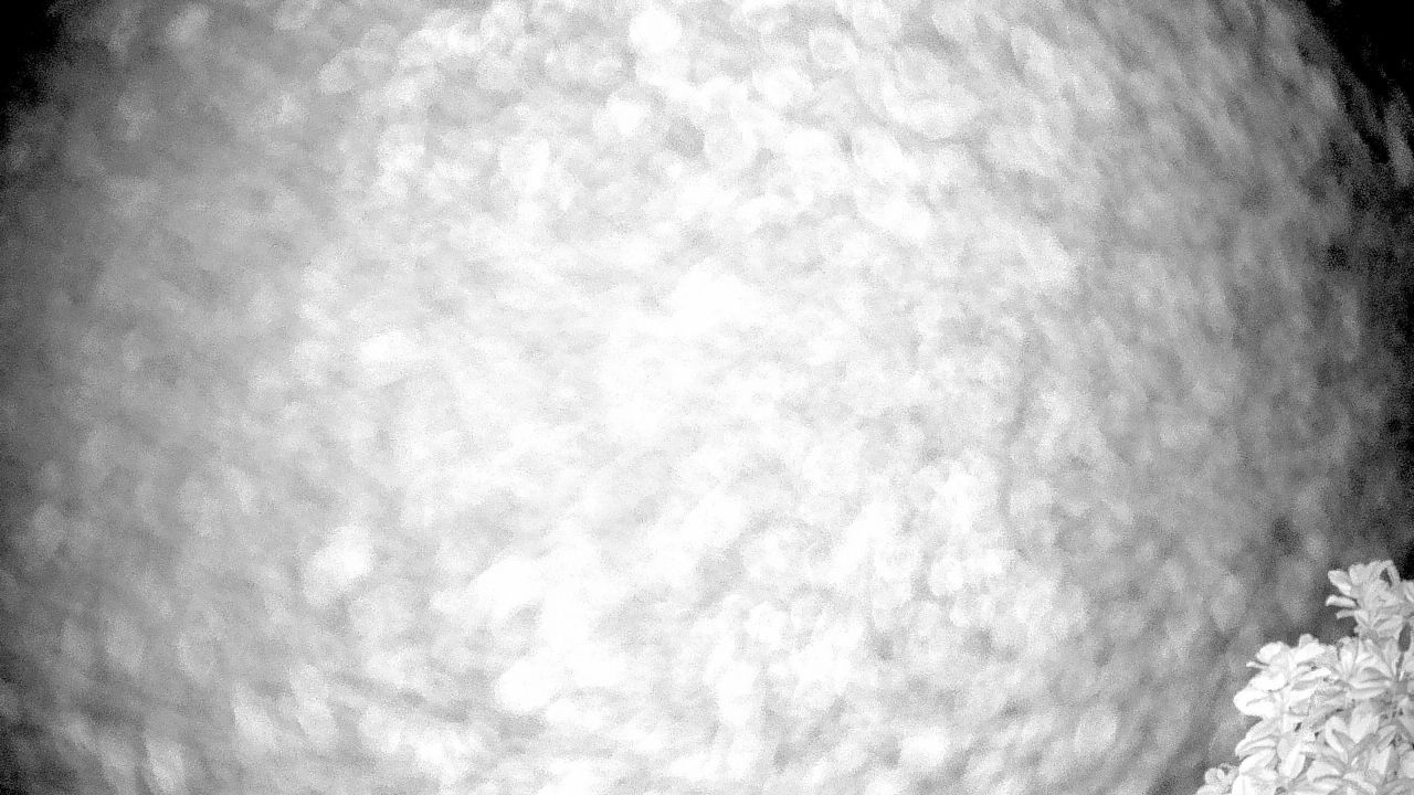 Thumbnail for current weather camera view from The Clubs at Houston Oaks in Hockley, Texas