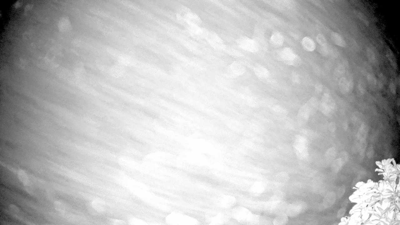 Thumbnail for current weather camera view from The Clubs at Houston Oaks in Hockley, Texas