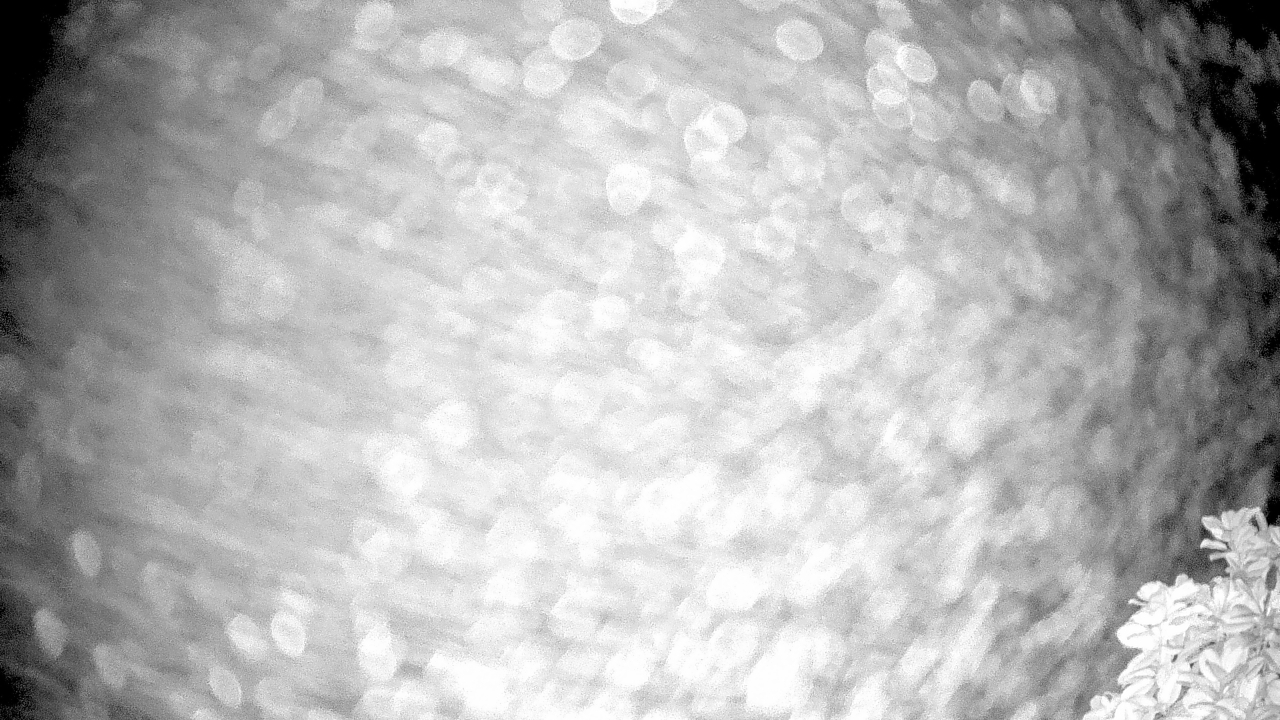 Thumbnail for current weather camera view from The Clubs at Houston Oaks in Hockley, Texas