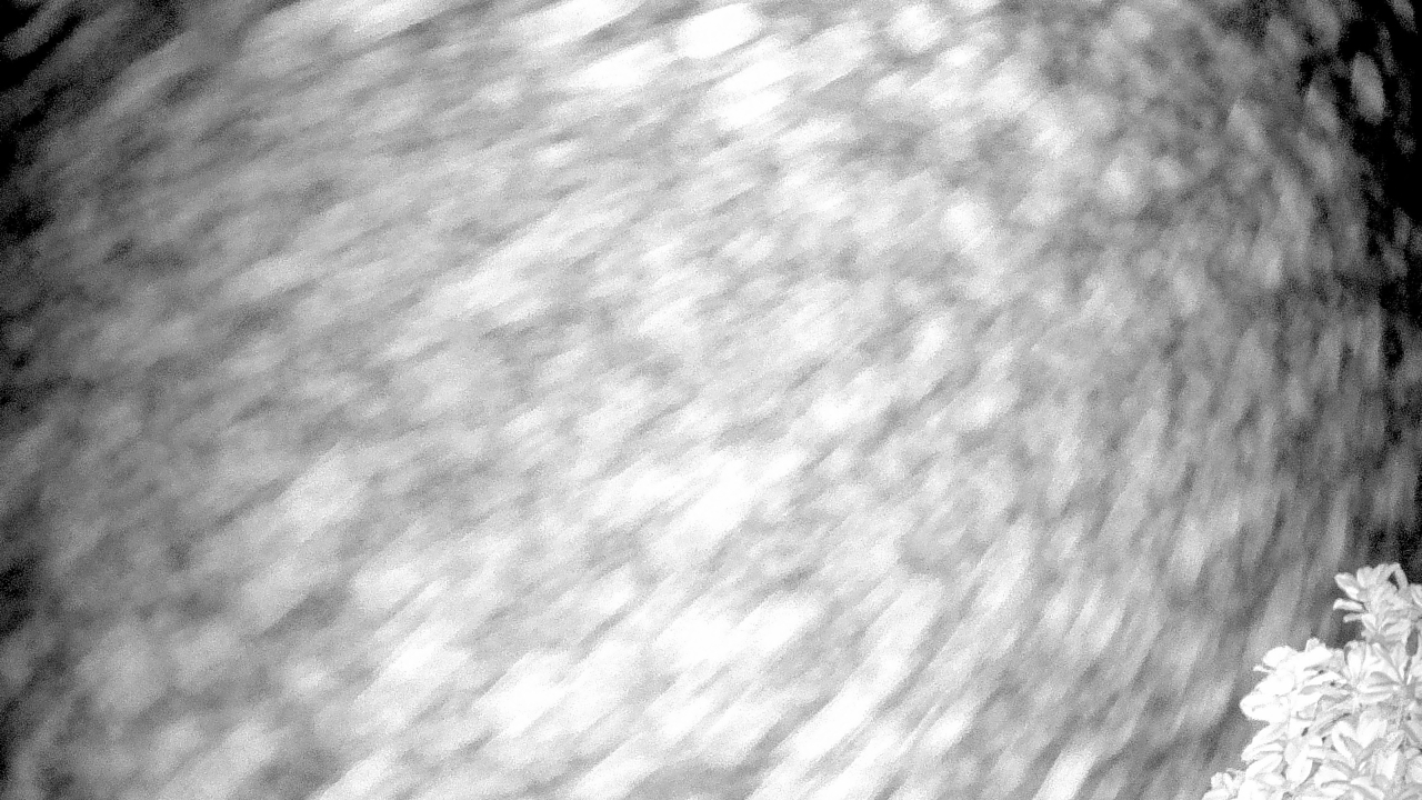 Thumbnail for current weather camera view from The Clubs at Houston Oaks in Hockley, Texas