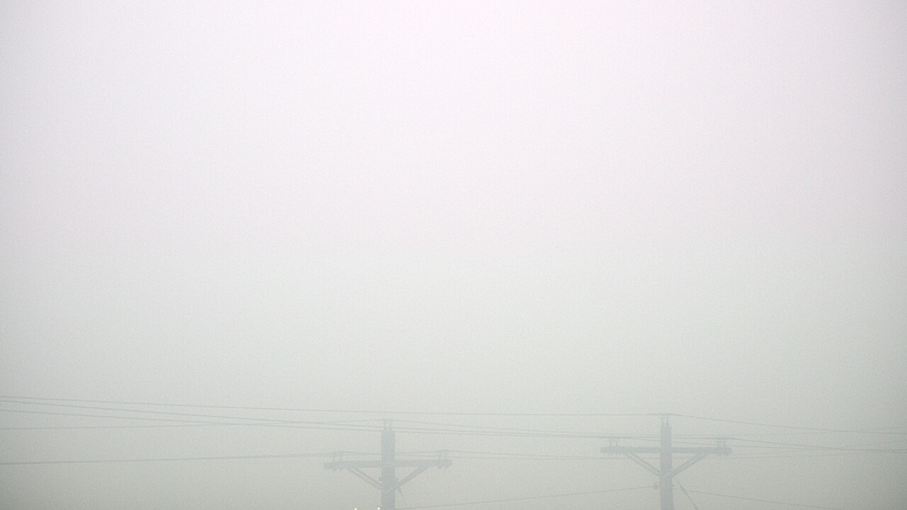 Thumbnail for current weather camera view from TEEX - Master Acct in College Station, Texas