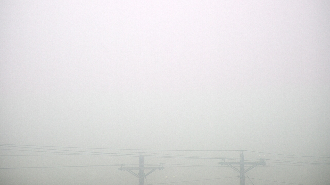 Thumbnail for current weather camera view from TEEX - Master Acct in College Station, Texas