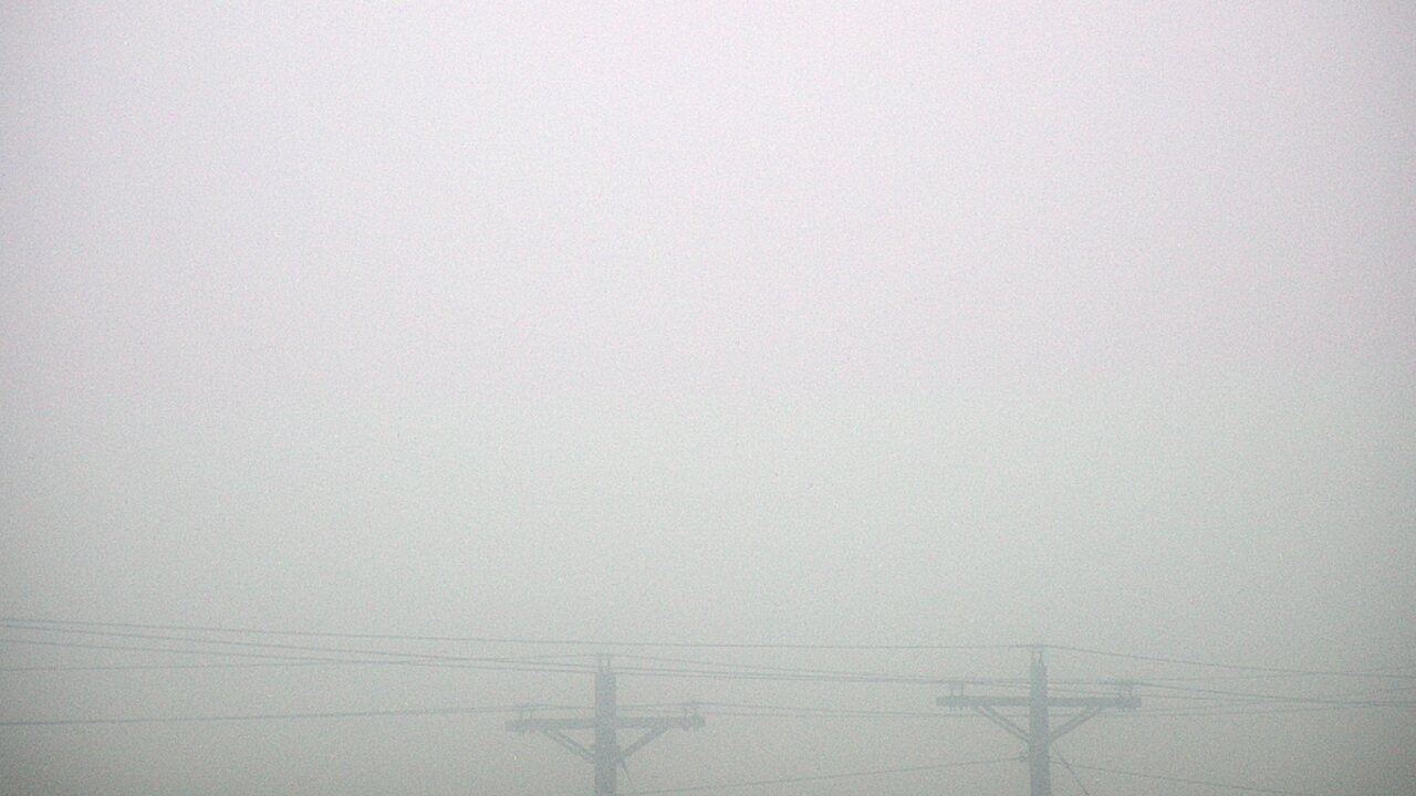 Thumbnail for current weather camera view from TEEX - Master Acct in College Station, Texas