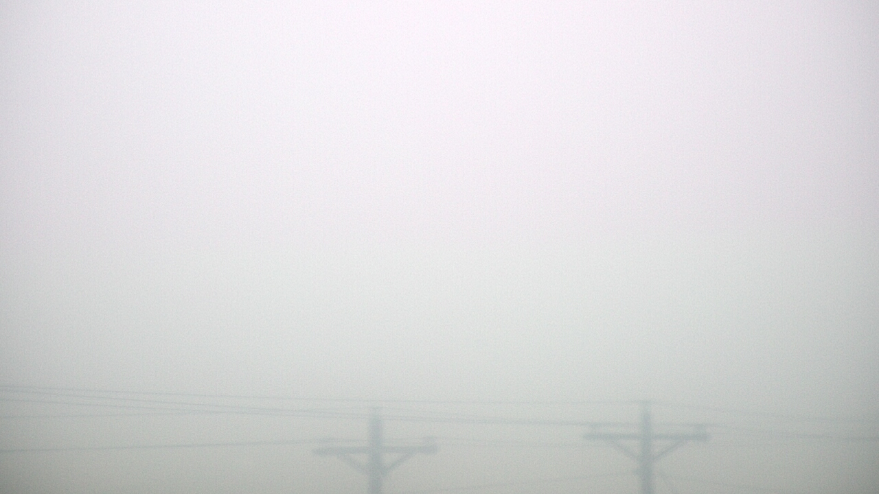 Thumbnail for current weather camera view from TEEX - Master Acct in College Station, Texas