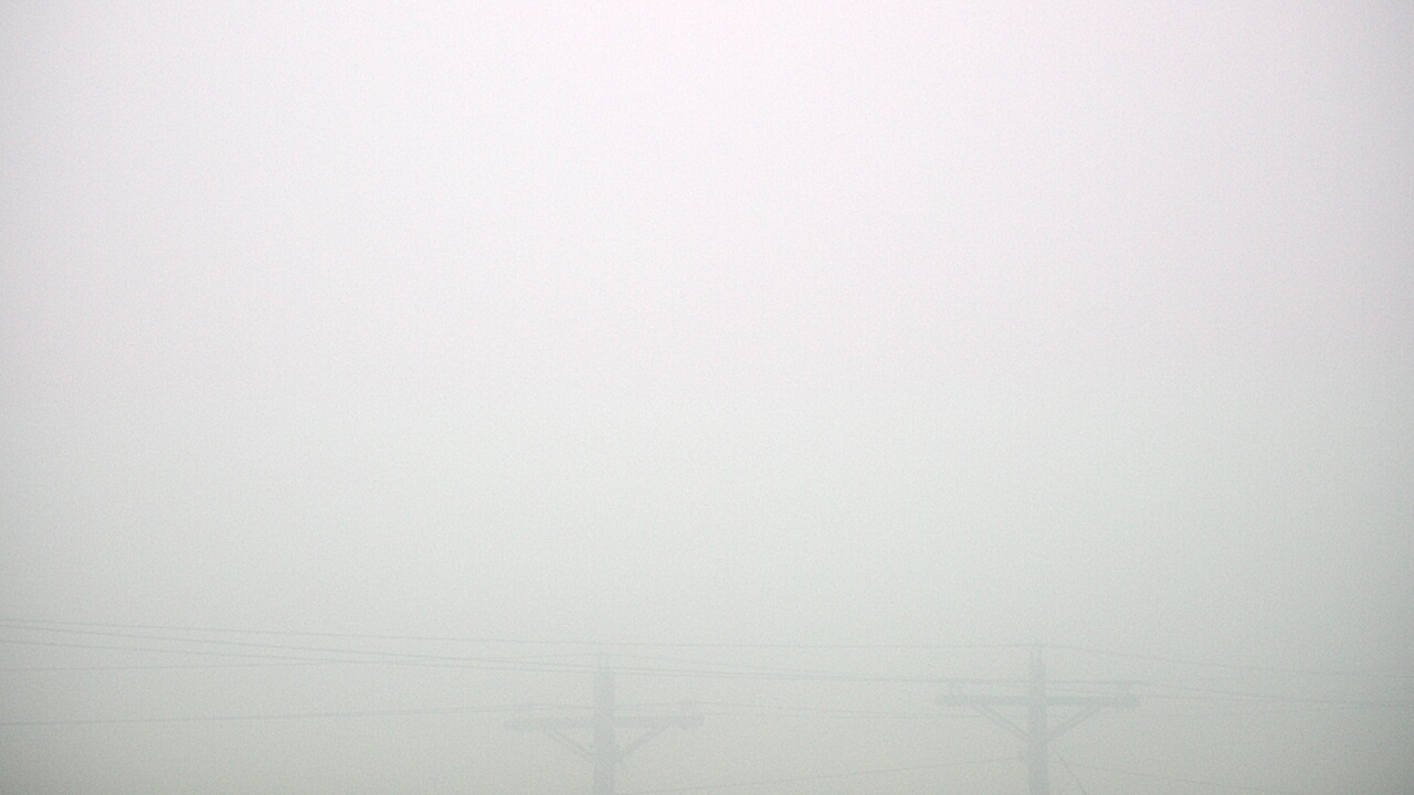 Thumbnail for current weather camera view from TEEX - Master Acct in College Station, Texas