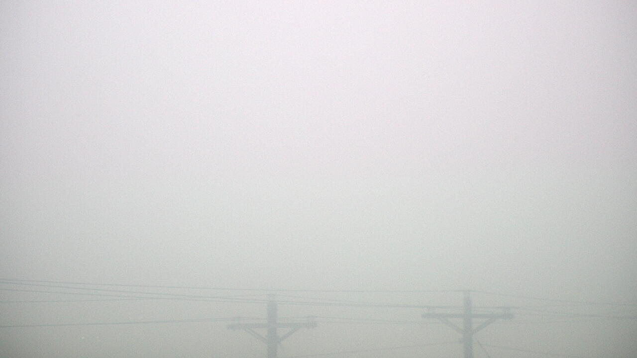 Thumbnail for current weather camera view from TEEX - Master Acct in College Station, Texas