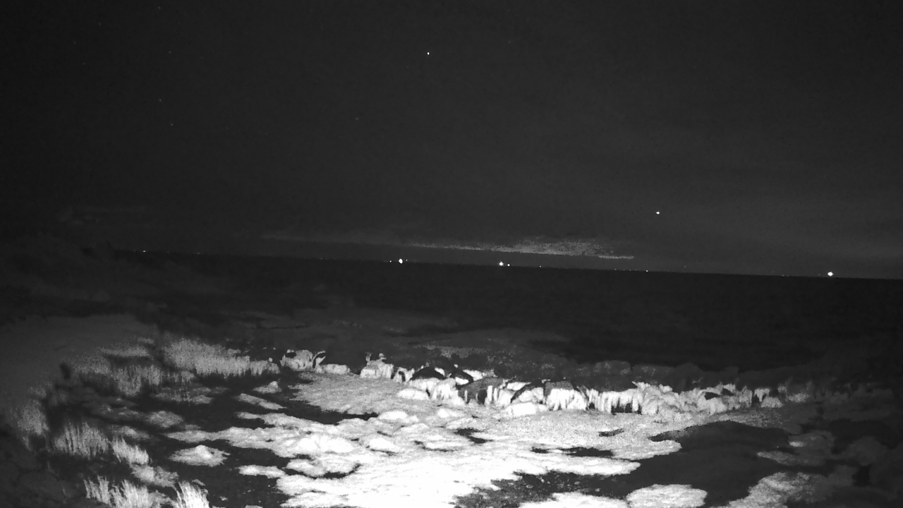 Thumbnail for current weather camera view from Outer Island  (Thimble Island Group) in Branford, Connecticut